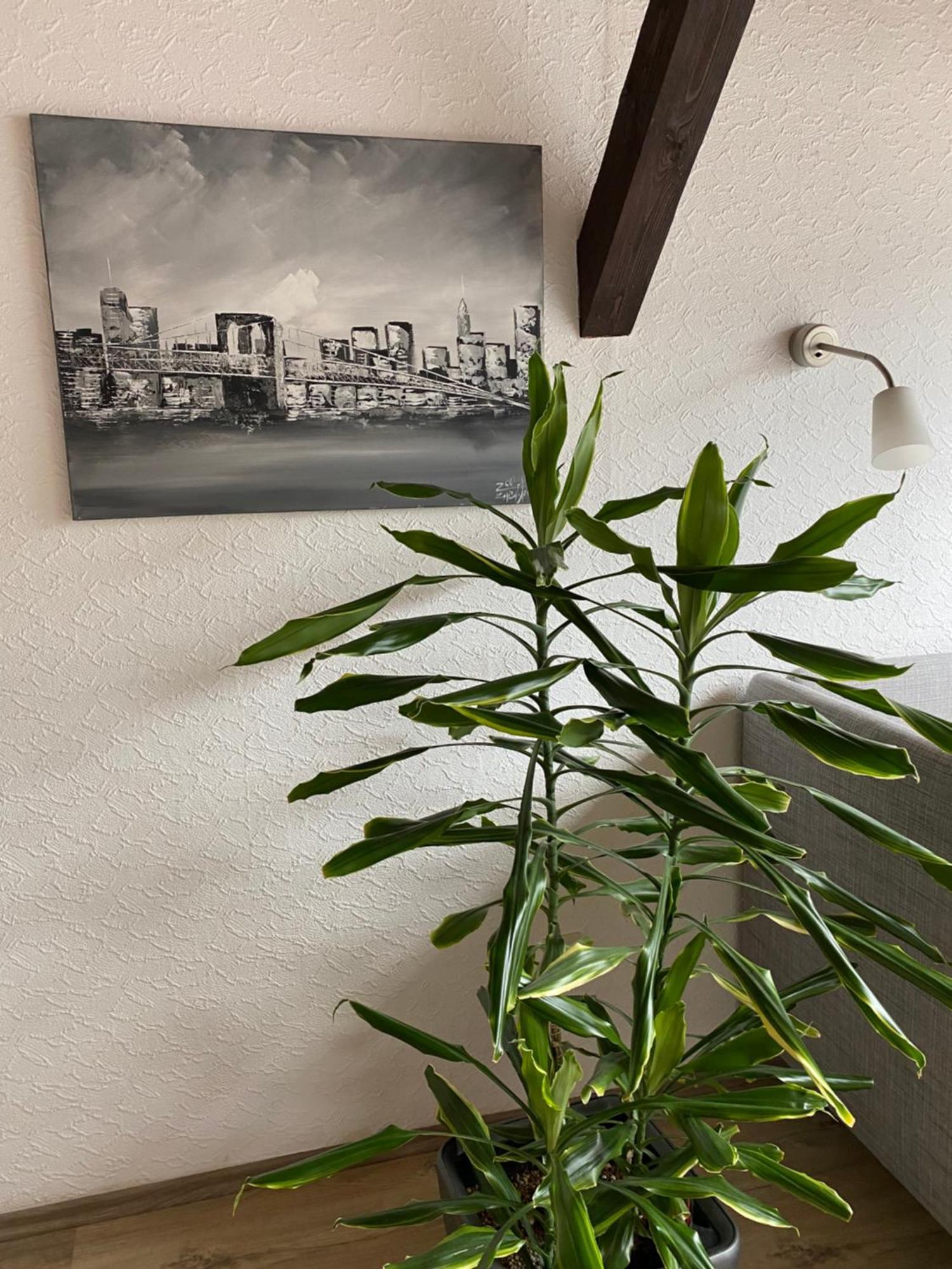 Ferienwohnung Malk Verbandsgemeinde Verbandsgemeinde Traben-Trarbach Buitenkant foto